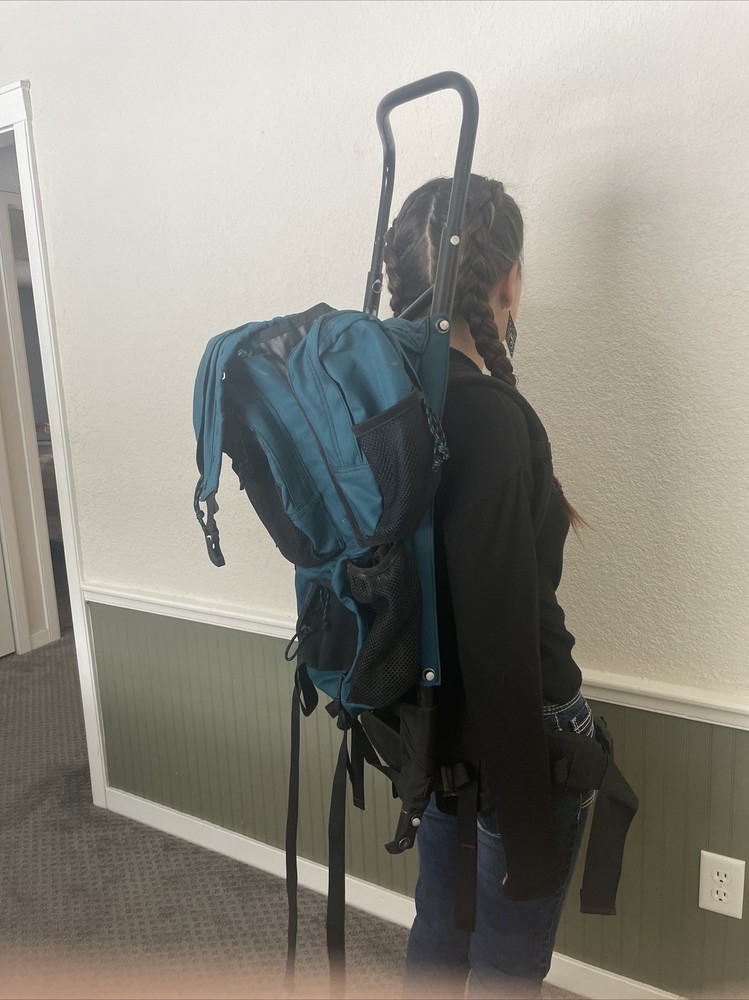 EMS Hiking Backpack External Aluminum Frame padded hip belt