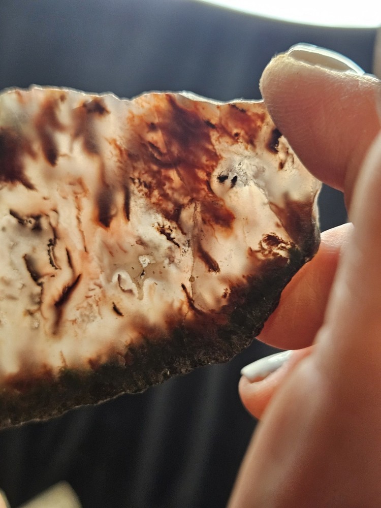 Plume Agate Multicolored Slab Specimen (1.76oz)