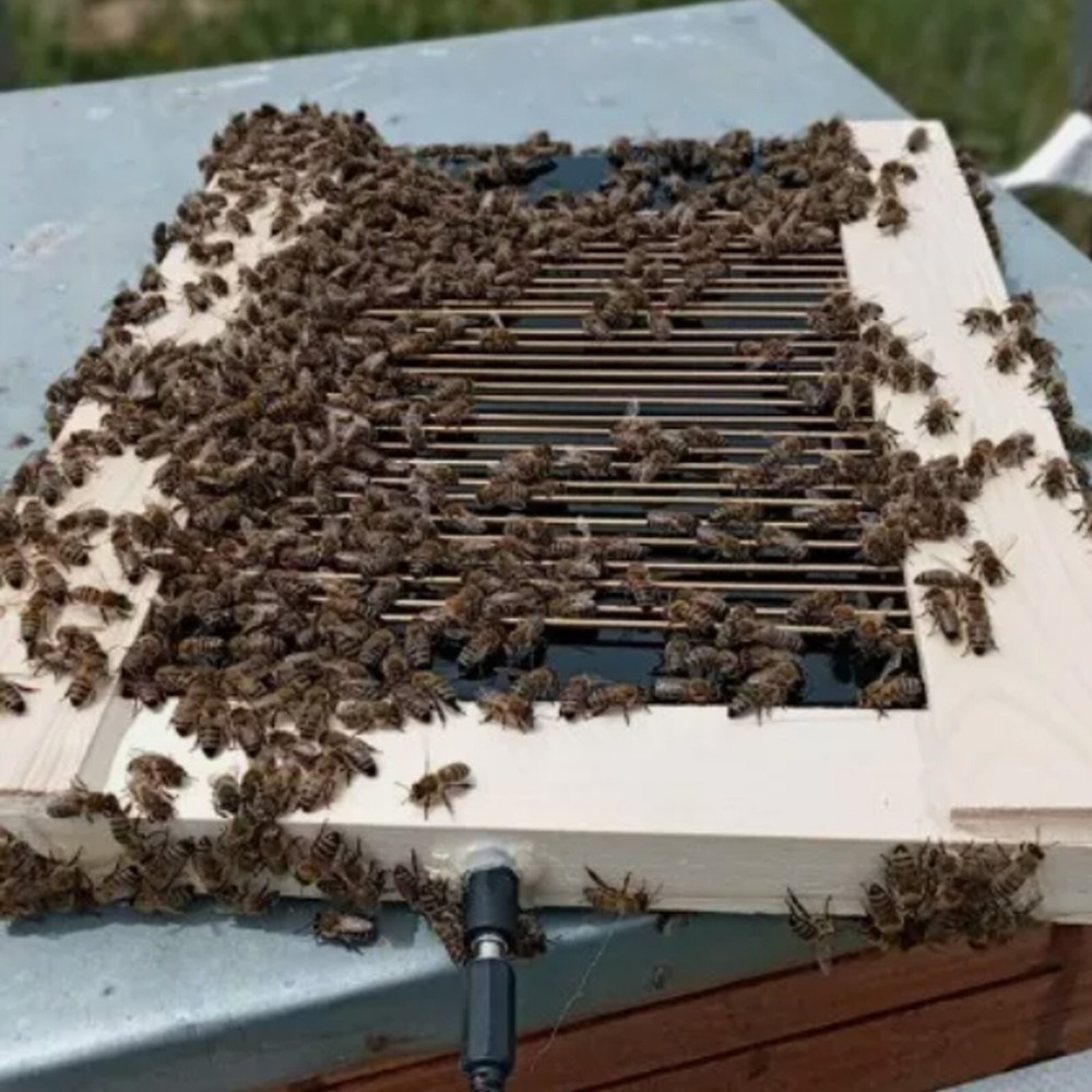 BEE VENOM PROFESSIONAL COLLECTOR