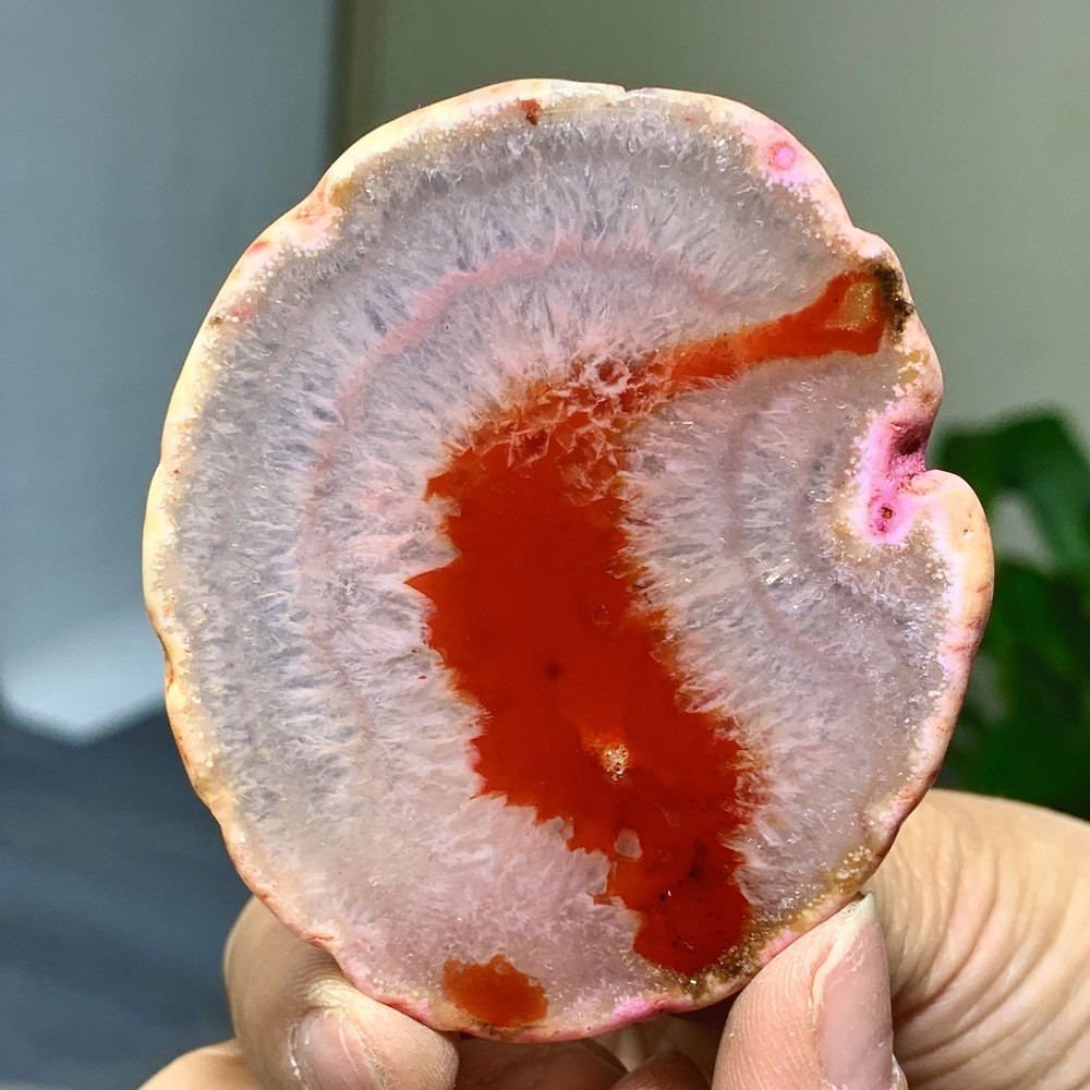 42G Natural Beautiful Agate Geode Druzy Slice Extra Large Gemstone
