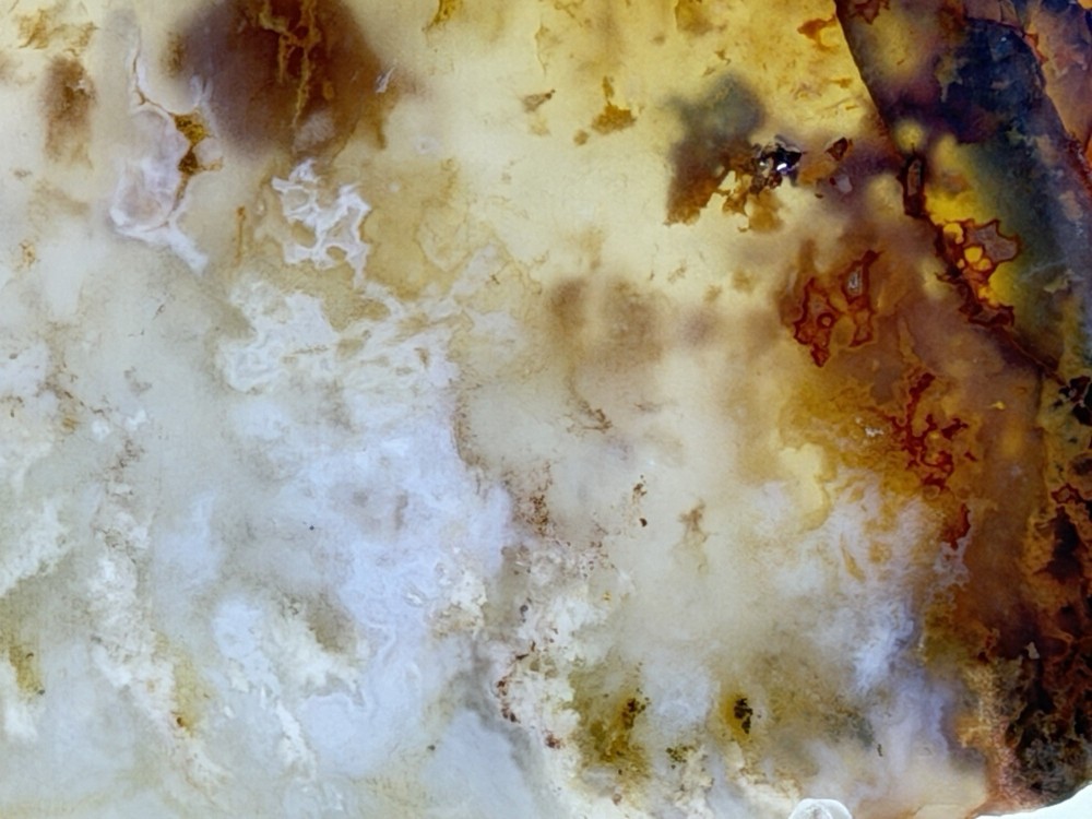 Graveyard Point Plume Slab, Lot#214