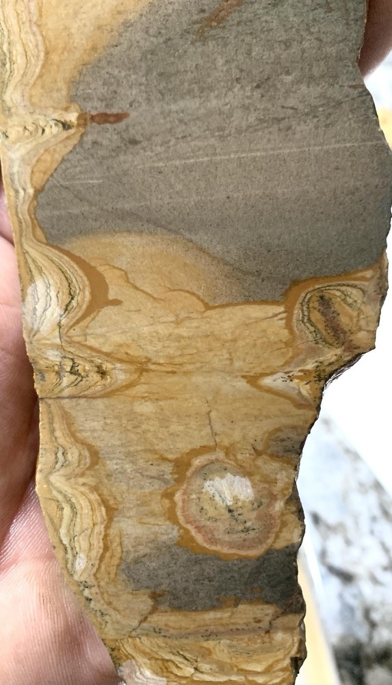Shadow Mountain Picture Jasper Slab