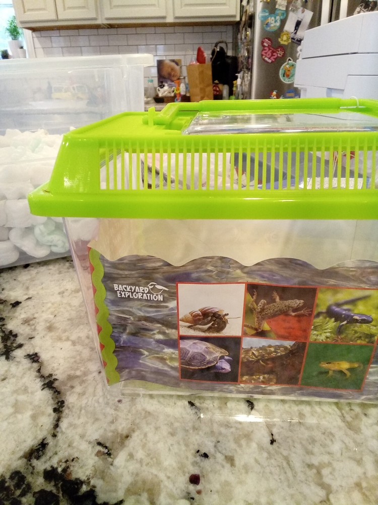 Toysmith Backyard Water Hut