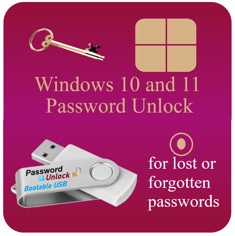 Windows 10 & 11 Laptop and PC Password Unlock Reset Bootable USB Drive