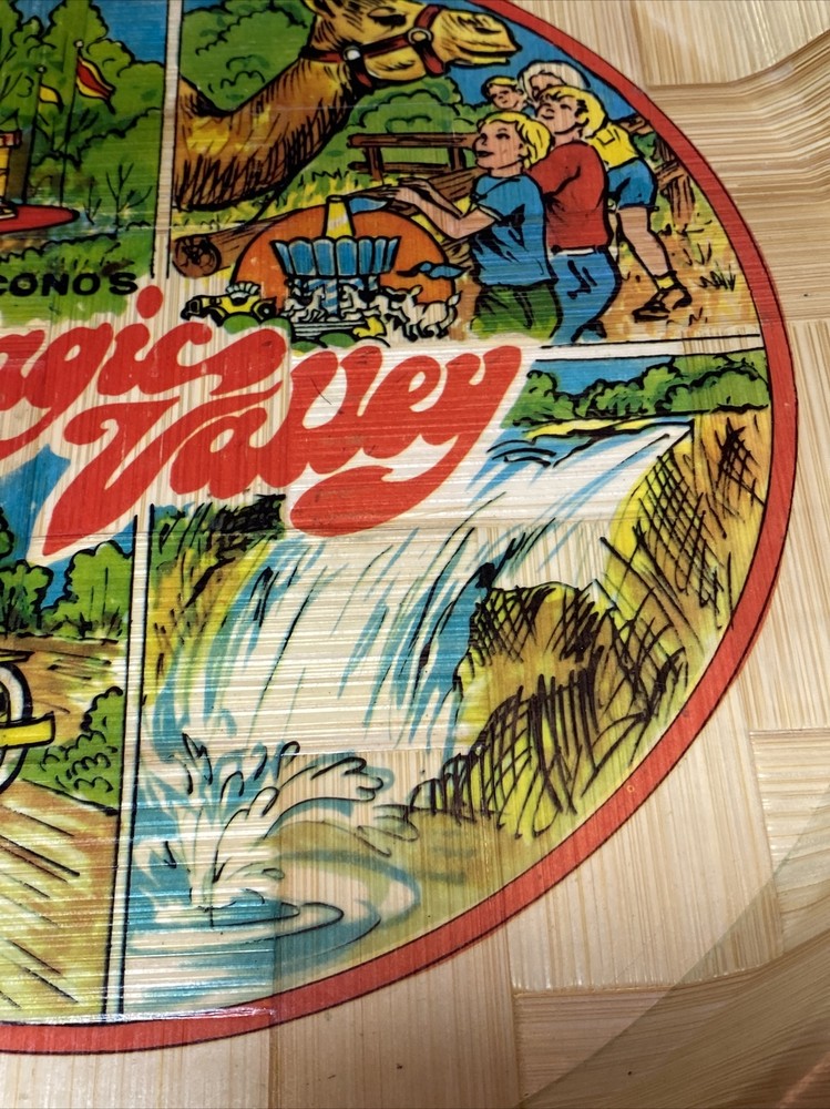 Vintage Poconos Magic Valley 13 inch Tray