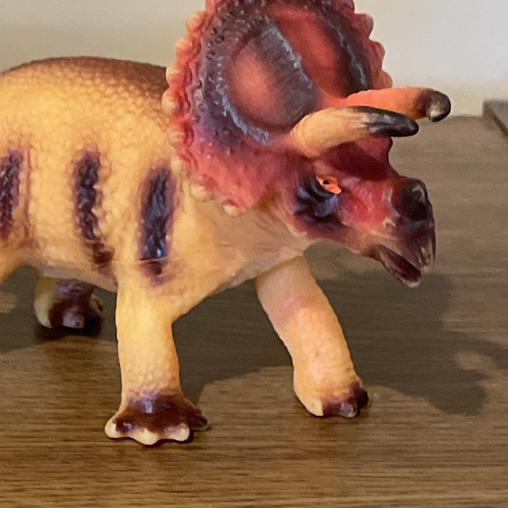 Triceratops Dinasaur
