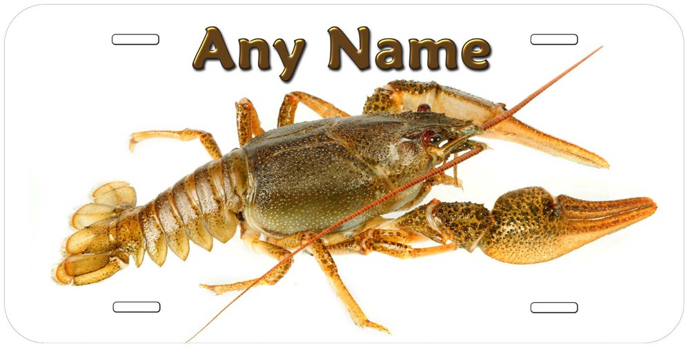 Crayfish Any Name Personalized Novelty Car License Plate