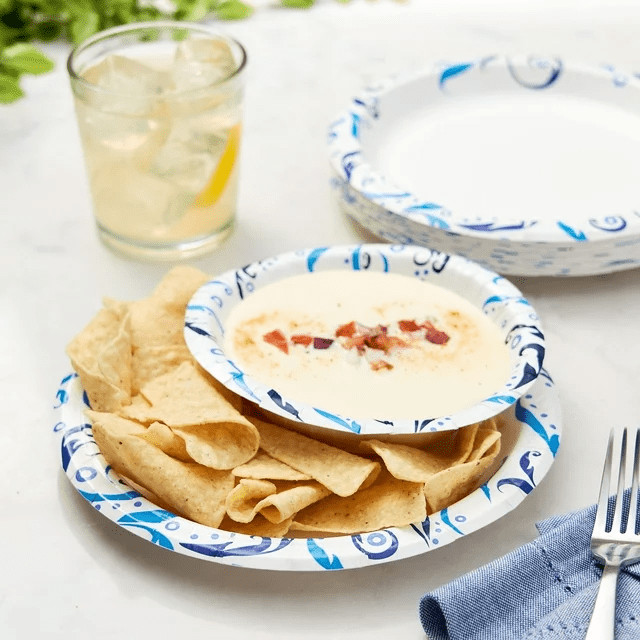 New Everyday Paper Plate, 8.5", 100ct, Patterned