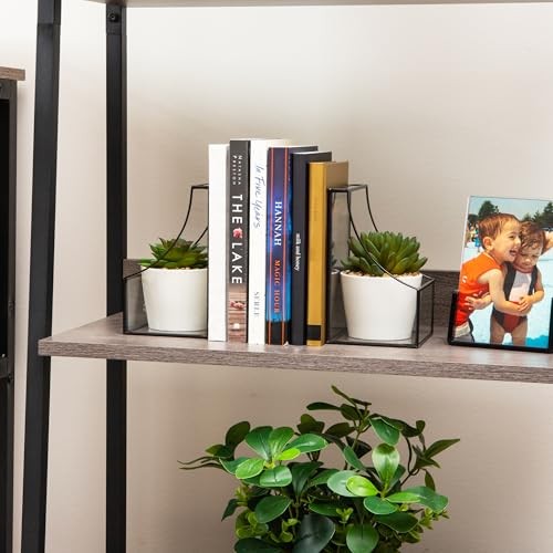 Terrarium Bookends, Decorative Book Holders with Storage, Modern Black