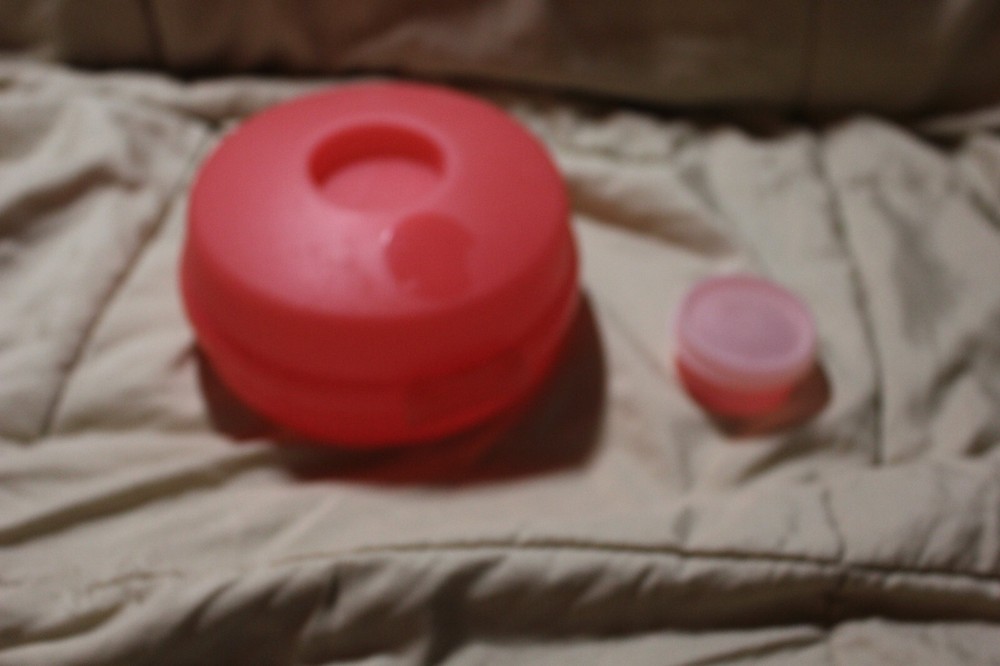 TUPPERWARE ROUND SANDWICH KEEPER WITH SMIDGET PEACH #4440A