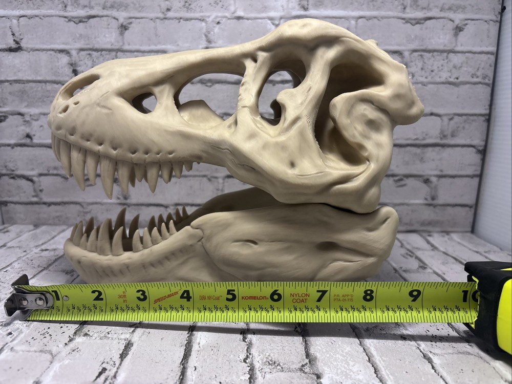 T-Rex 3D printed dinosaur skull large bone colored realistic With Stand Bone PLA