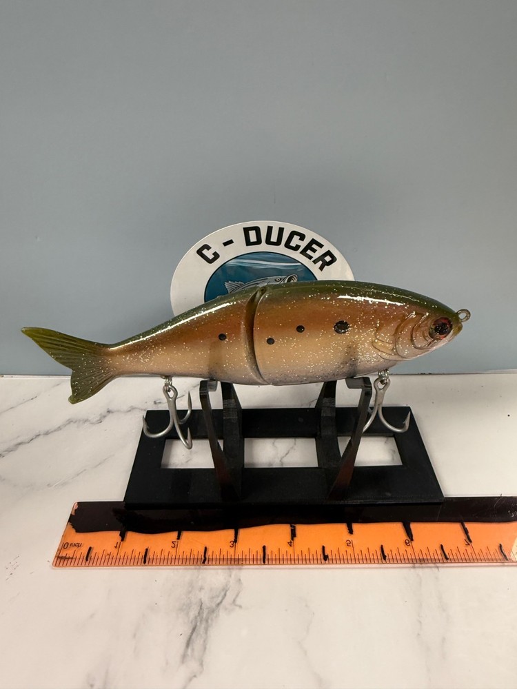 Custom CD Glide Bait Lure. Striped Bass. Bunker.