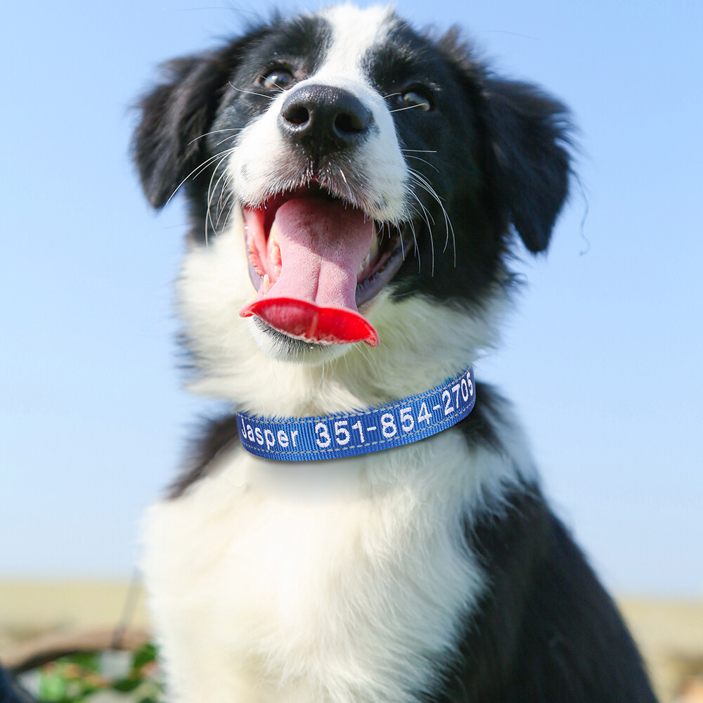 Embroidered Personalized Dog Collar Reflective Nylon Soft Padded Custom Name ID
