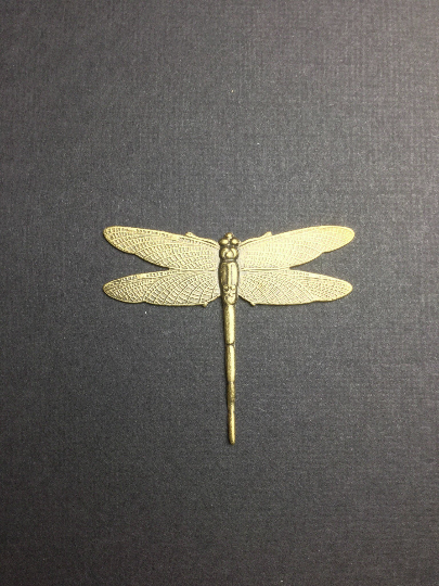 34183- 1-3/4" Large Dragonfly Finding Stamping Brass Ox
