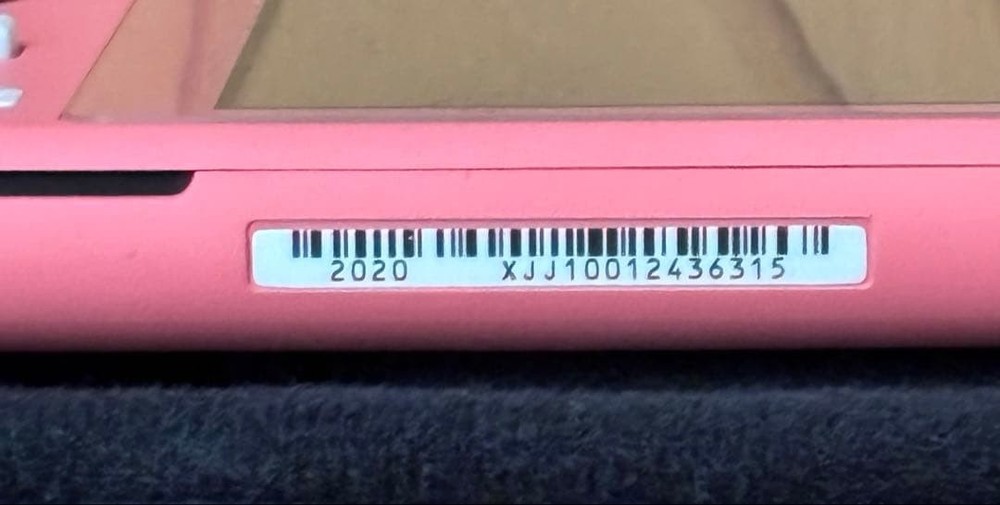 Nintendo Switch Lite Console