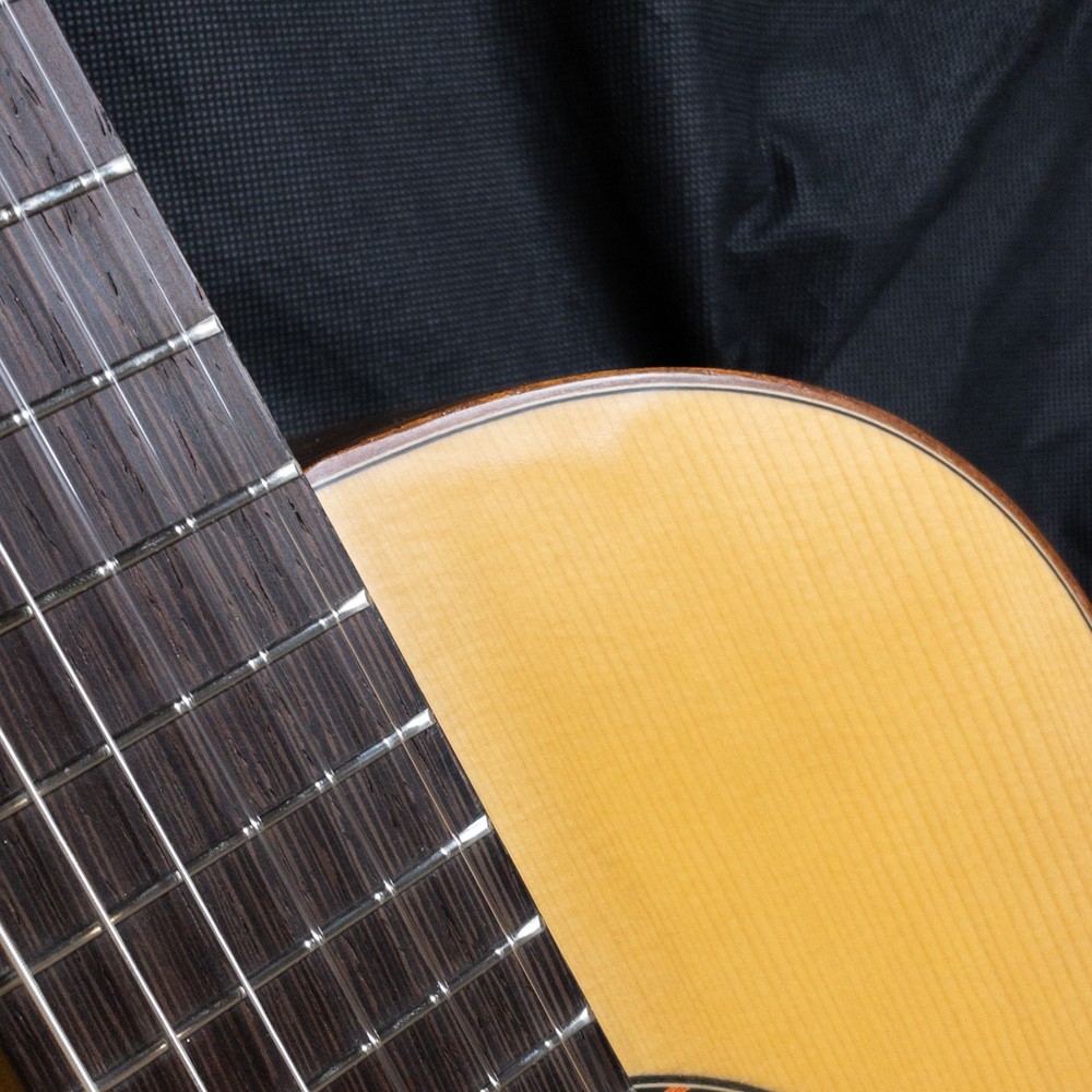 Esteve Organic Eco-Series Solid Spruce Top Classical Guitar
