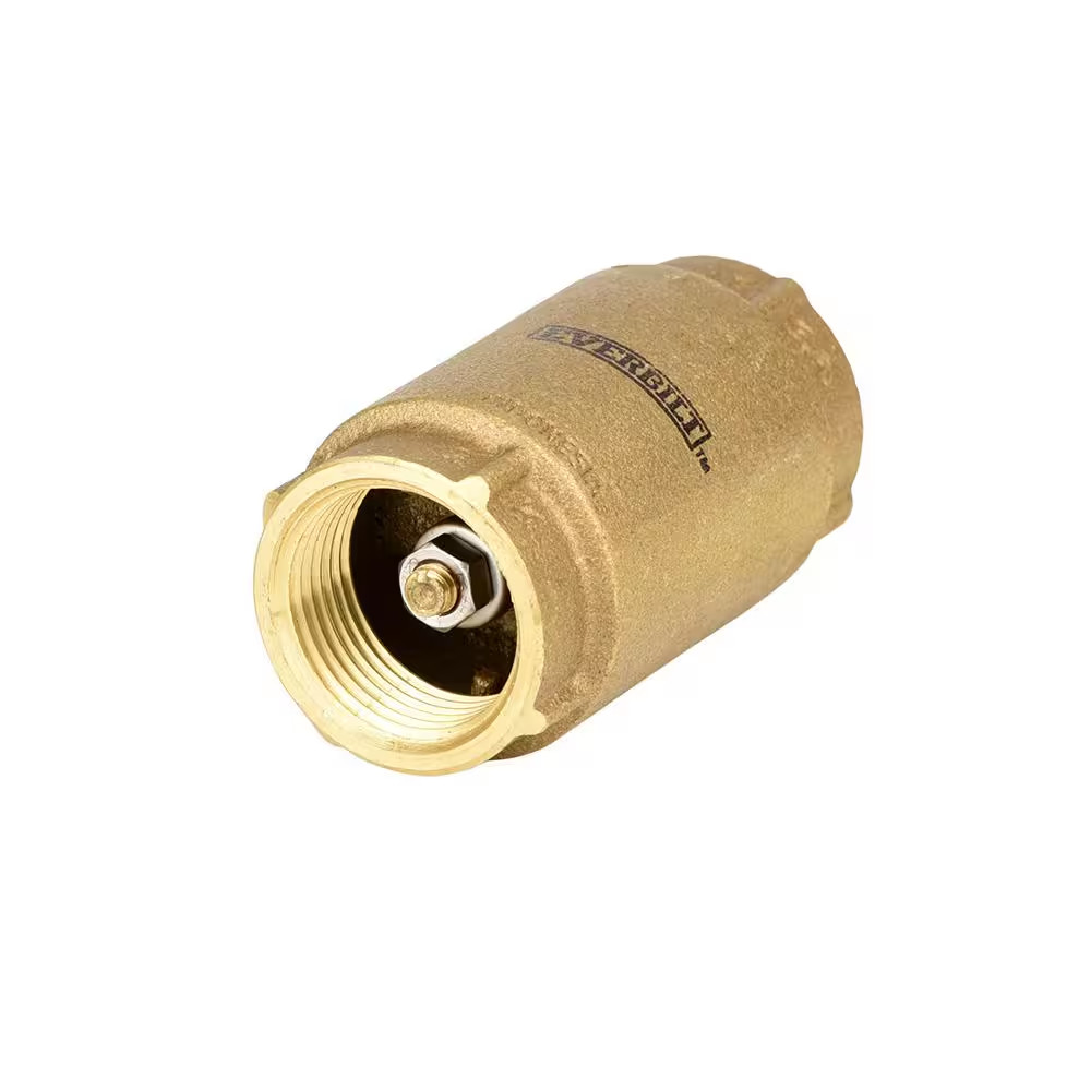 1 In. Brass Check Valve