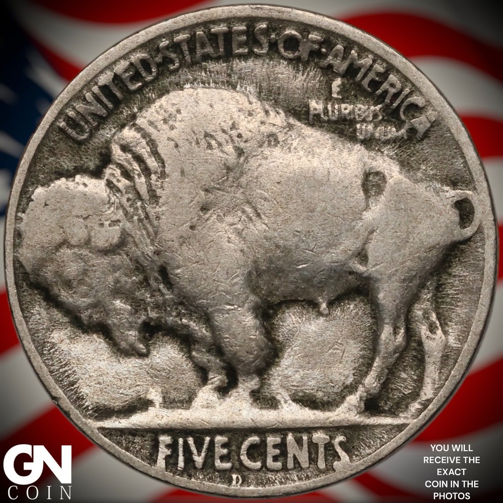 1919 D Buffalo Nickel A7854