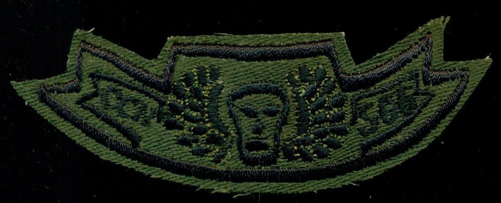 Original US Army CCN SOG Special Operations Group Scroll Vietnam Patch HM