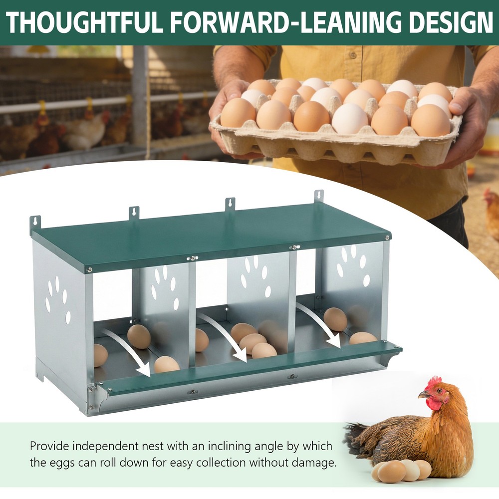 Metal Nesting Boxes for Chicken 3 Compartment Nesting Box Galvanized Steel