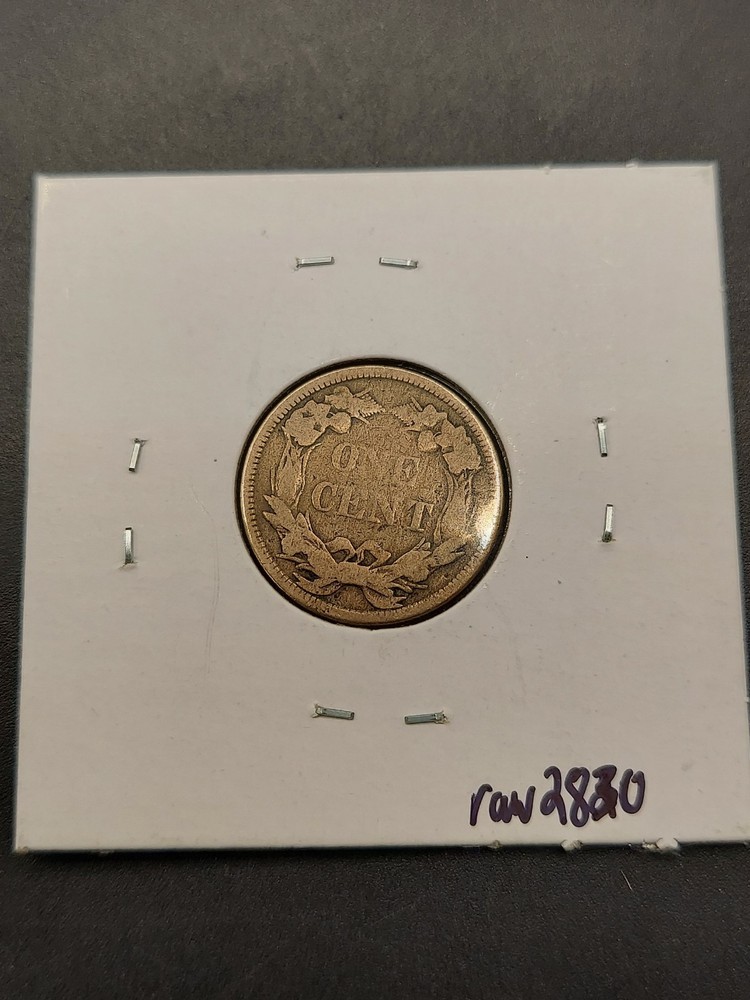 1858 flying eagle cent G (Raw2830)