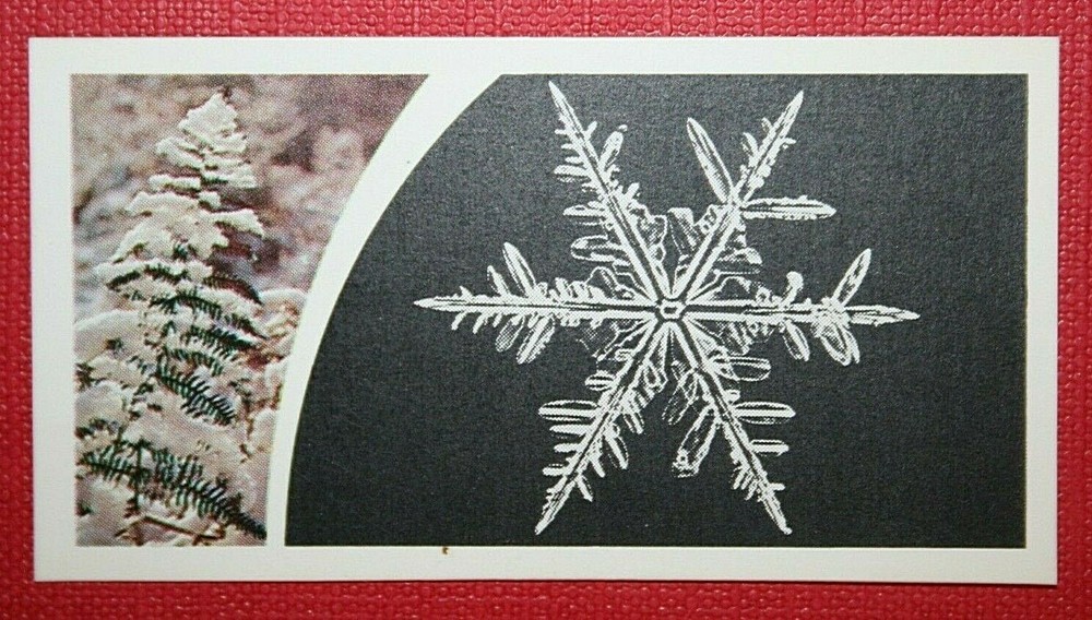 SNOW FLAKE CRYSTALS  Illustrated Card  DE21M