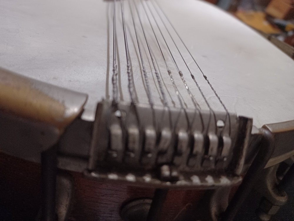 Bacon banjo banjolin