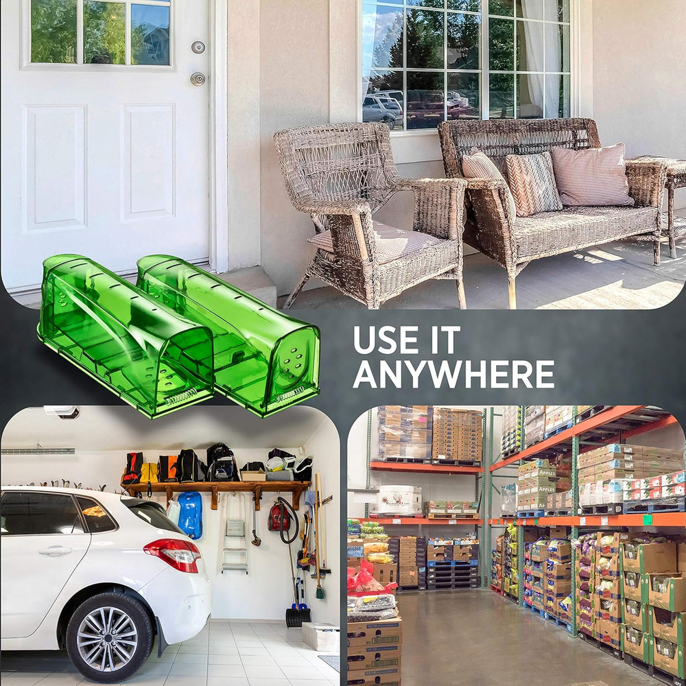 Humane Mouse Traps Catch and Release That Work Mouse Traps No Kill Live Mouse Tr