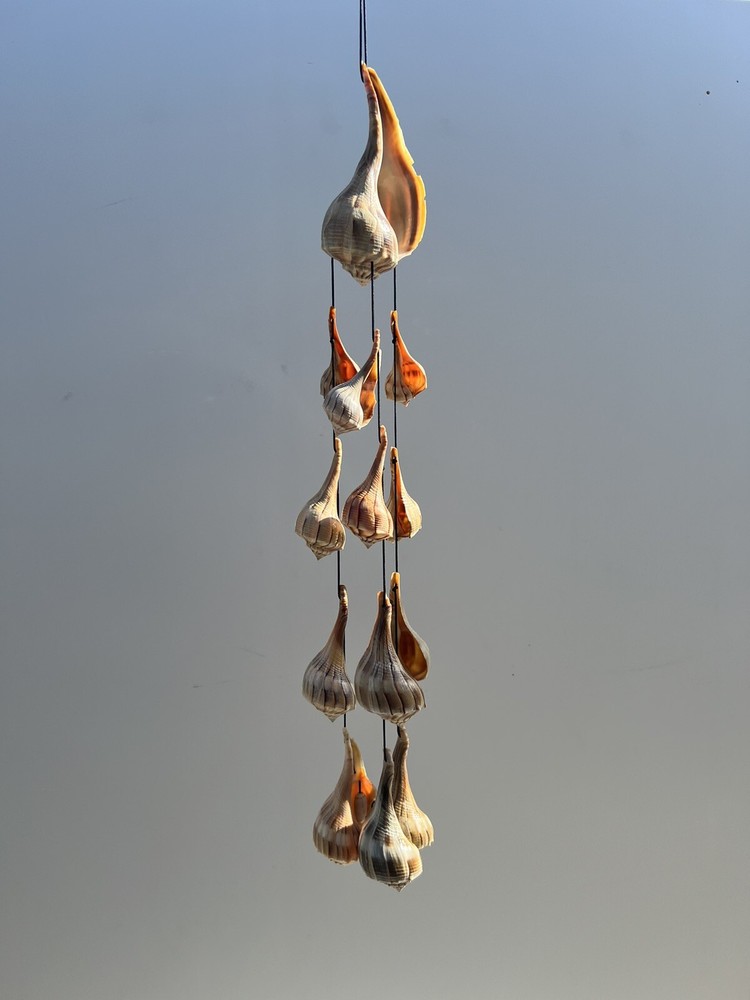 Large Lightning Whelk and Lightning Whelk Bells Sea Shell Windchime *Handmade