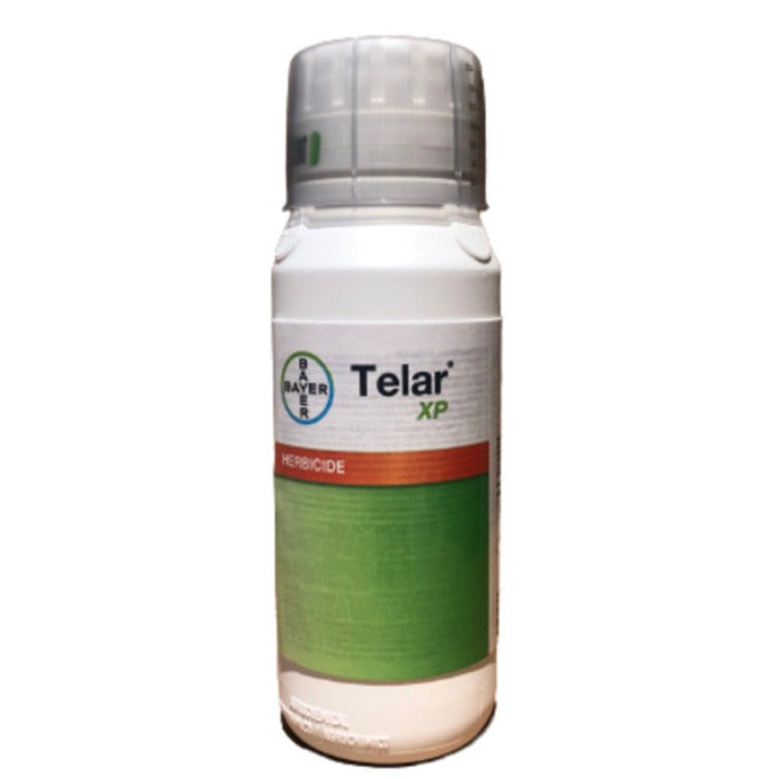 Telar XP 8oz