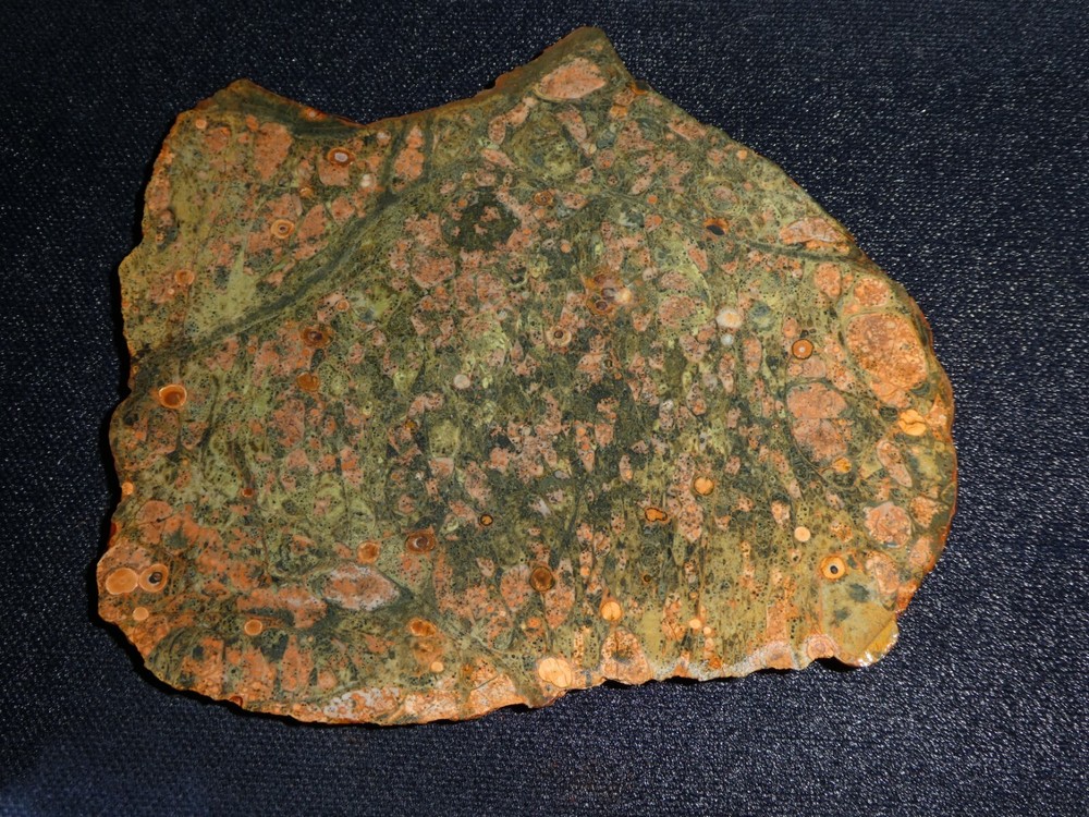 Washington Rain Forest Jasper   4 3/4" x 4" rough -cabbing-display science