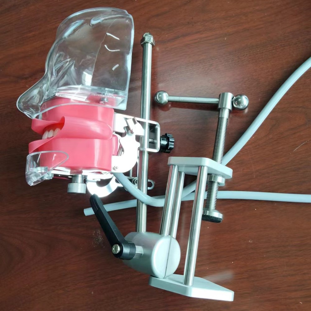 Dental Simulator Phantom Head Model Dental Preparation Support