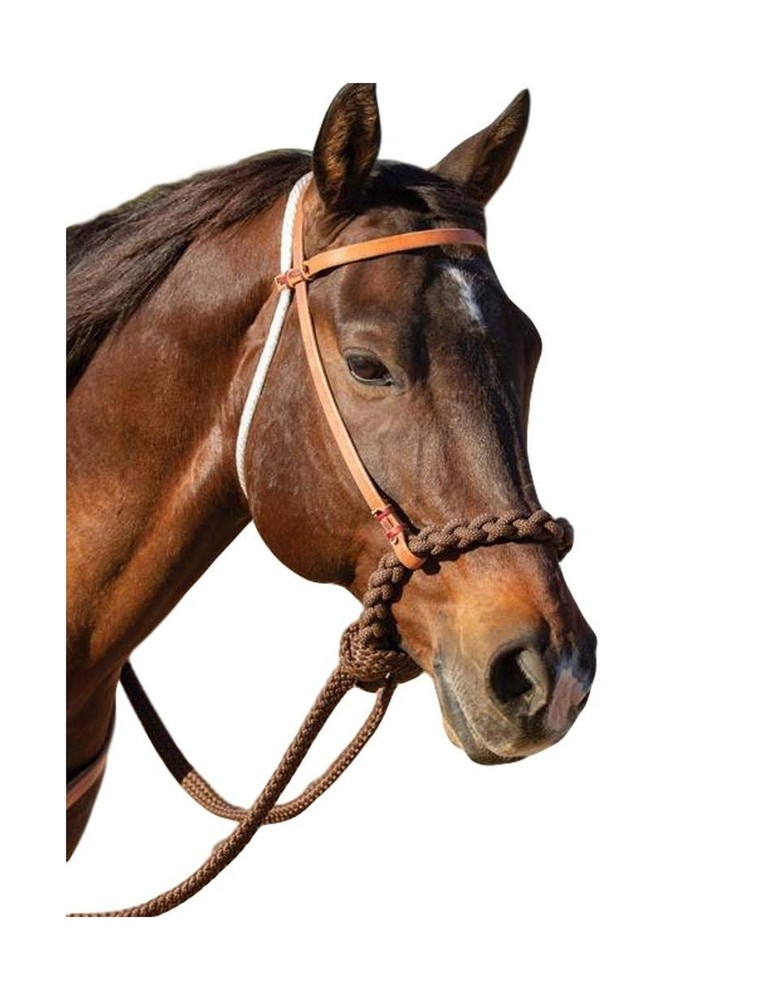 Professionals Choice Loping Hackamore Horse