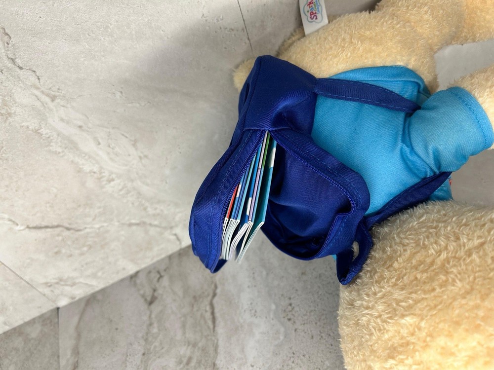 Spark Create Imagine Interactive Learning Plush Bear for Child 8 Books Tested