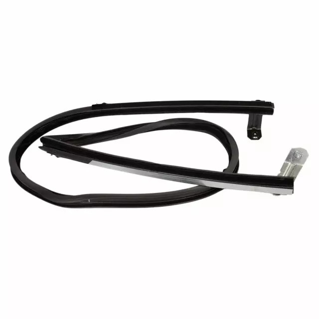 Genuine Ford Window Channel DC3Z-2625766-A