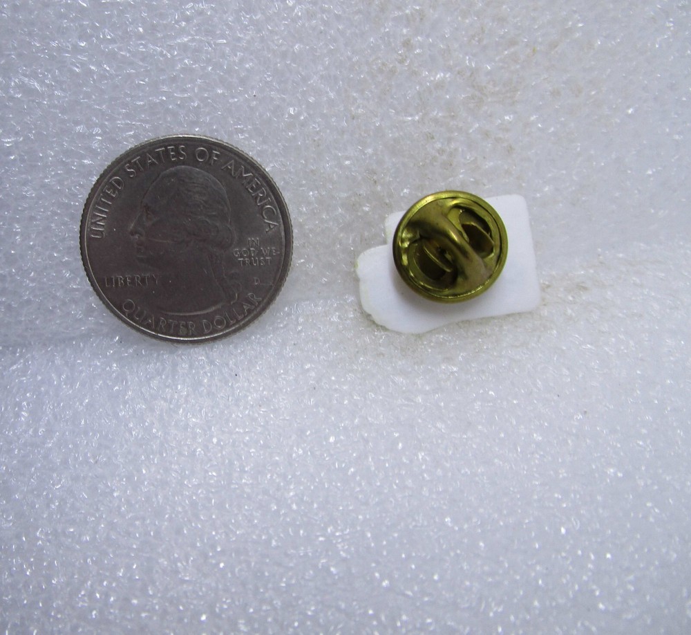 Partners With The Hungry Plastic Pin