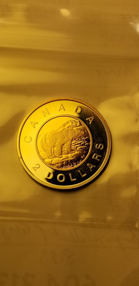 Rare Canada 2002 Proof Gem Silver $2 Coin Idds1.
