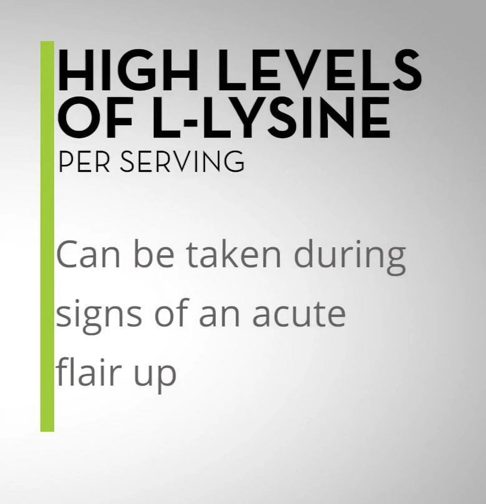 L Lysine Powder for Cats Immune Support