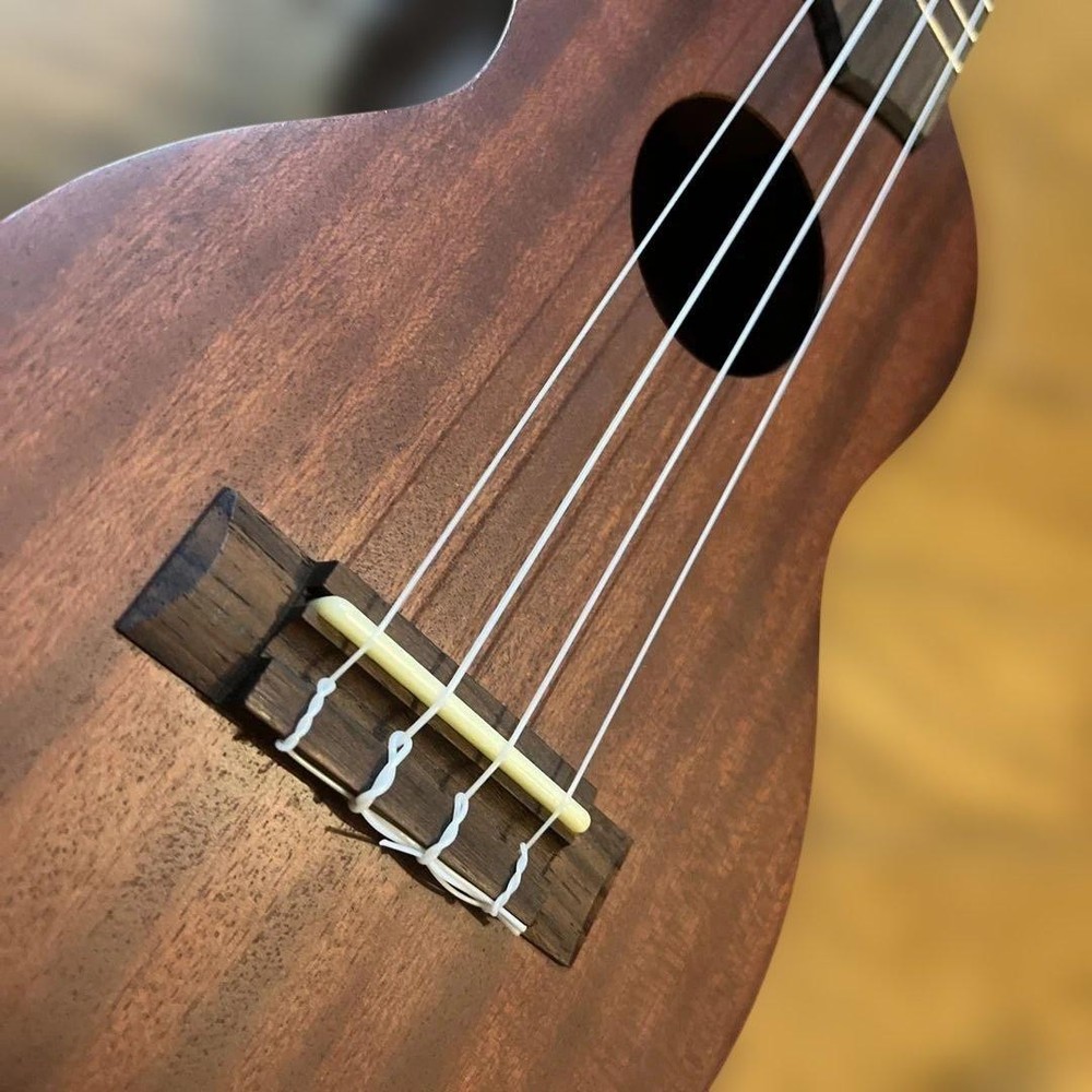 ARIA soprano ukulele with case