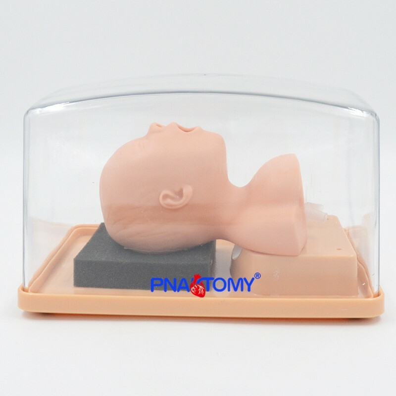 Newborn Neonatal Tracheal Intubation Training Model