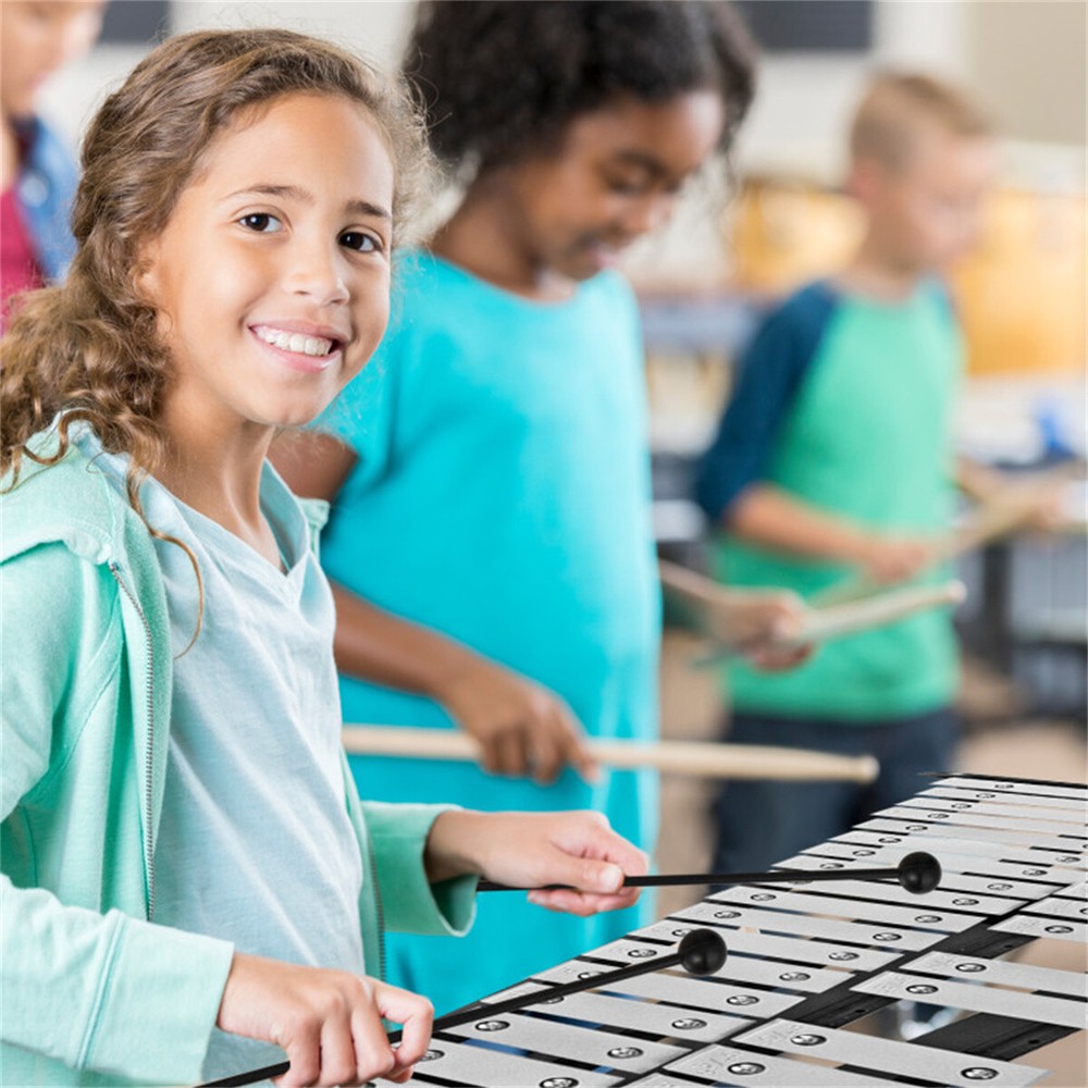 30 Notes Percussion Glockenspiel with Mallets Sticks Stand