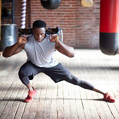 Crossfit Workout Training Sand Bags 50 lb