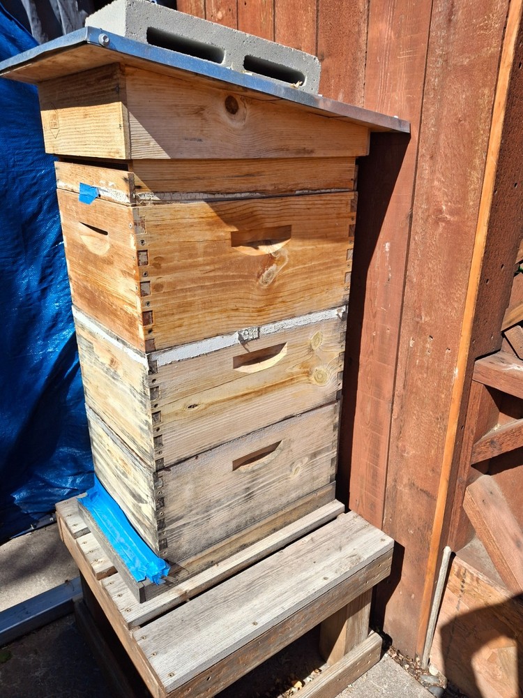 Beekeeping hives,with Frame's,extras.