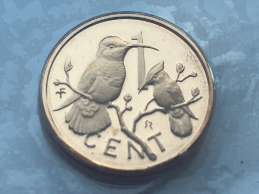 1973 VIRGIN ISLANDS Proof 1 Cent Coin