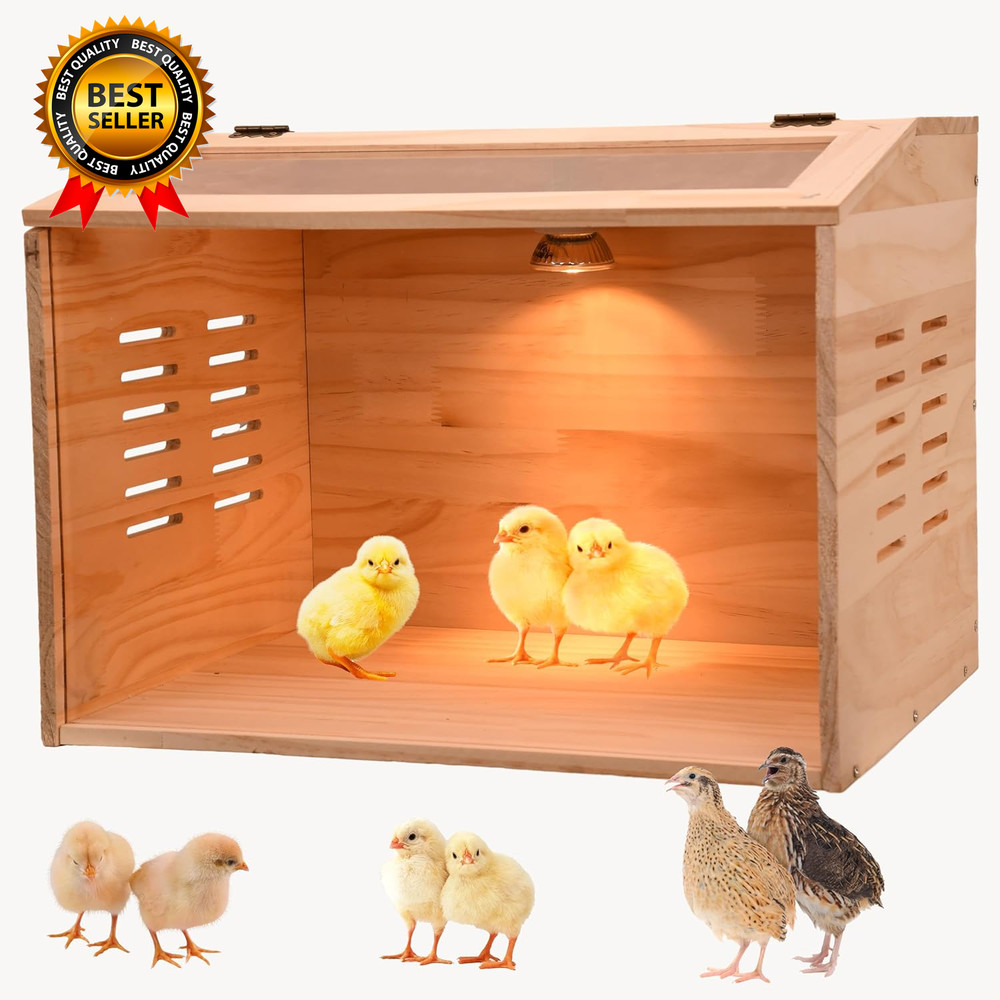 Brooder Box for Chicks, Chicken Brooder Box, Chicken Heater