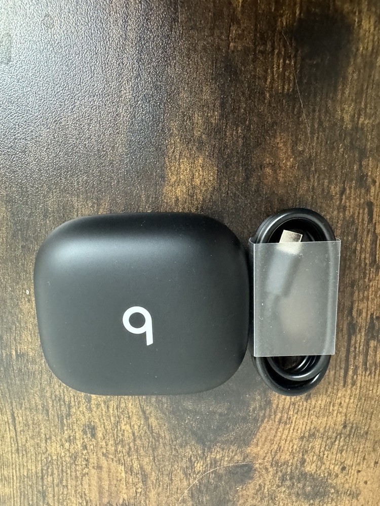 Beats Powerbeats Pro 2 Wireless Earbuds - Black