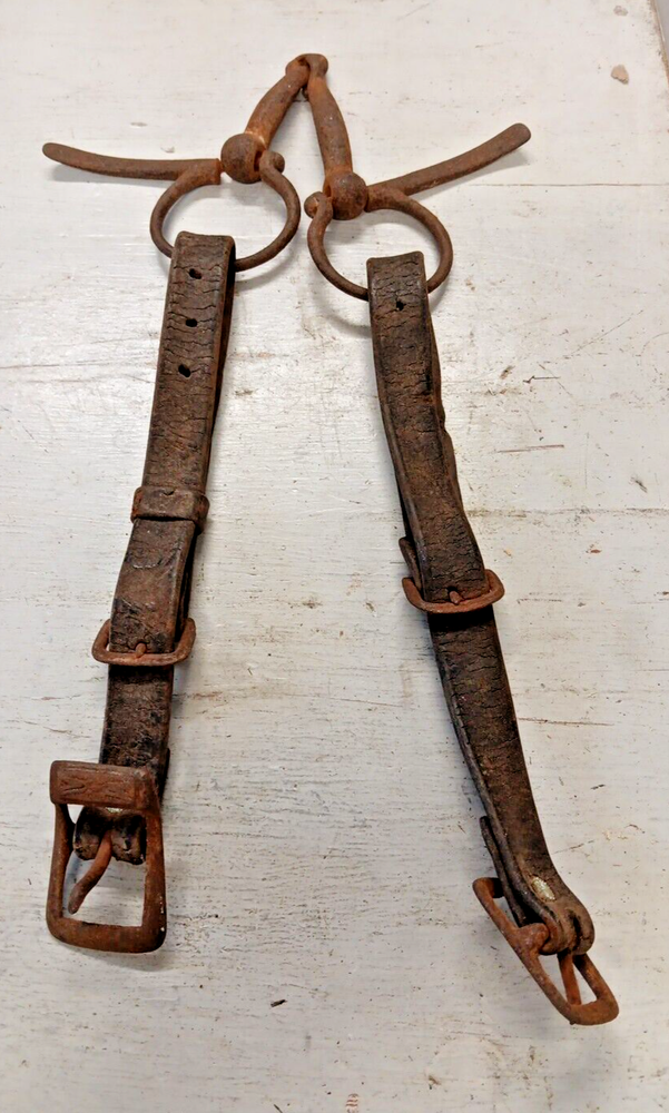 Antique Iron Horse Bit with Leather