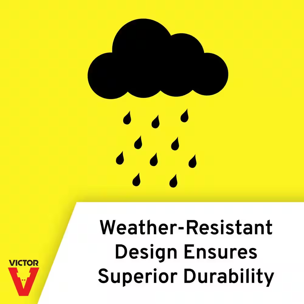 Plunger Style Mole Trap