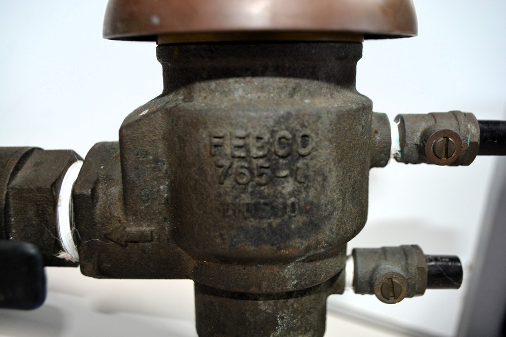 FEBCO 765-100 BV Pressure Vacuum Assembly