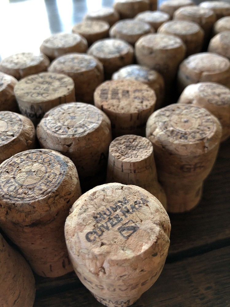 50 PREMIUM CHAMPAGNE/SPARKLING WINE CORKS (USED) - NO PLASTIC